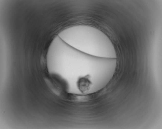 X0000114600371200910191059