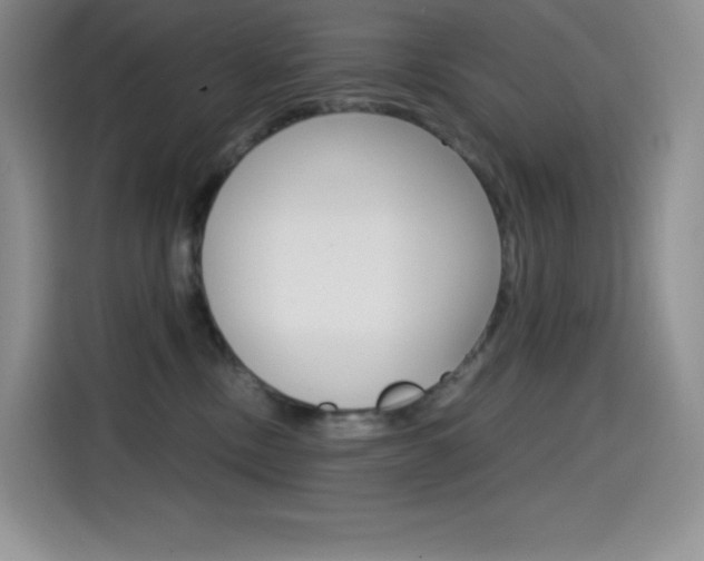 X0000114600378200910191059