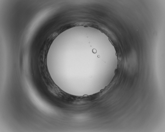 X0000114600381200910191059