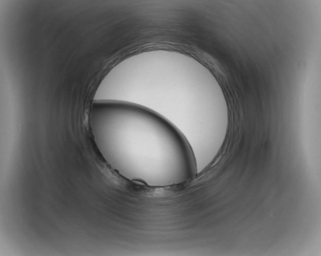 X0000114600382200910191059