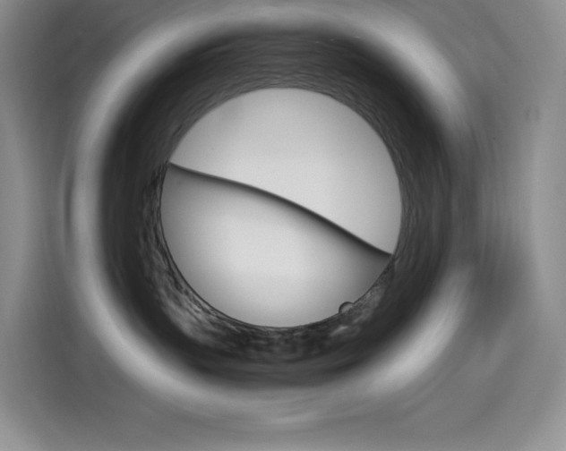 X0000114600383200910191059