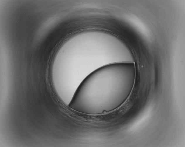 X0000114600387200910191058