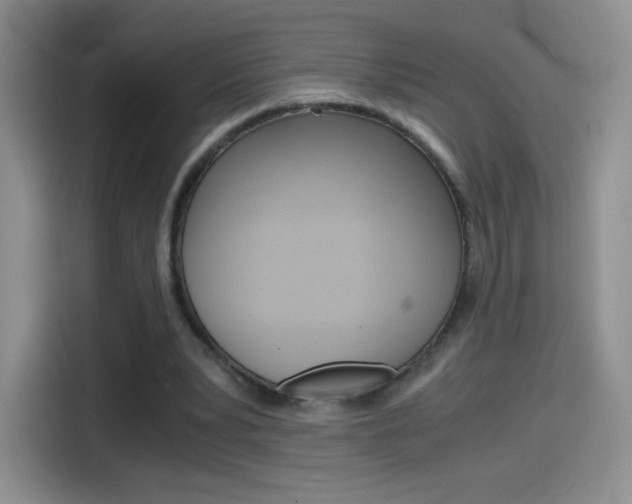 X0000114600391200910191058