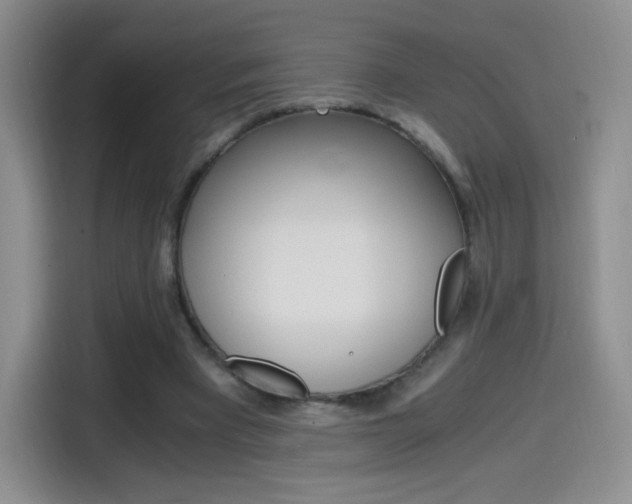 X0000114600393200910191058