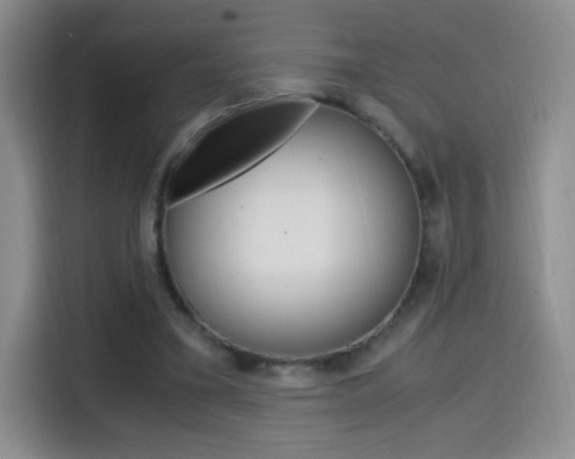 X0000114600395200910191058