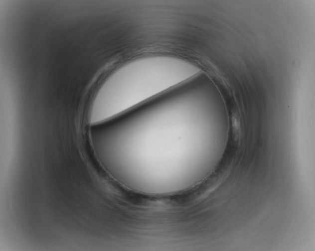 X0000114600396200910191058