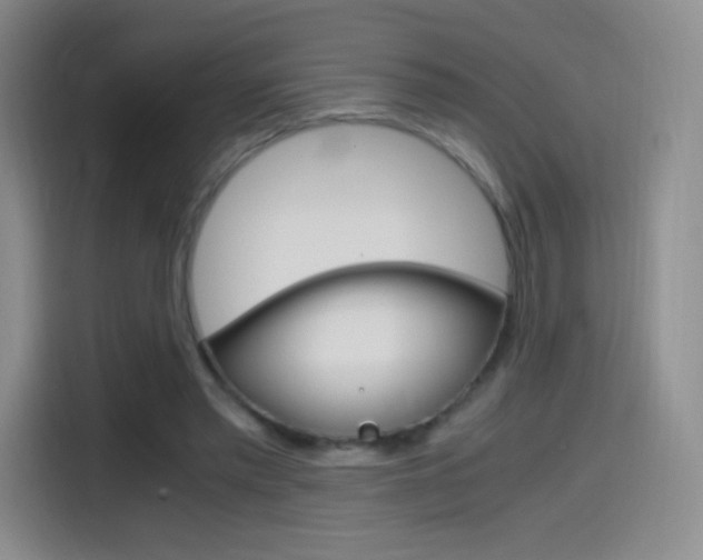 X0000114600397200910191058