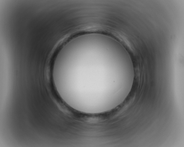 X0000114600400200910191058