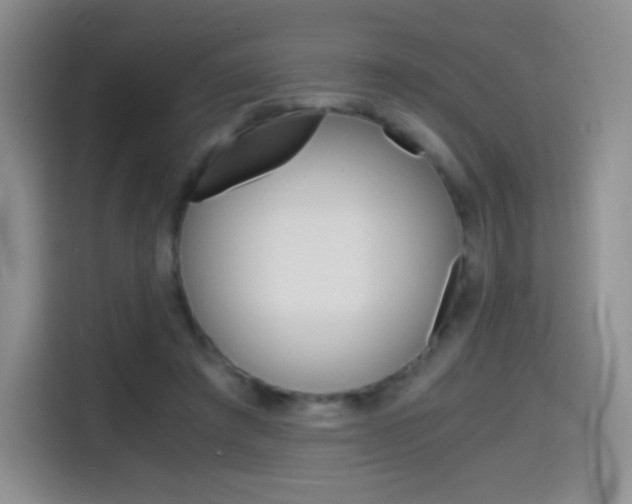 X0000114600401200910191058