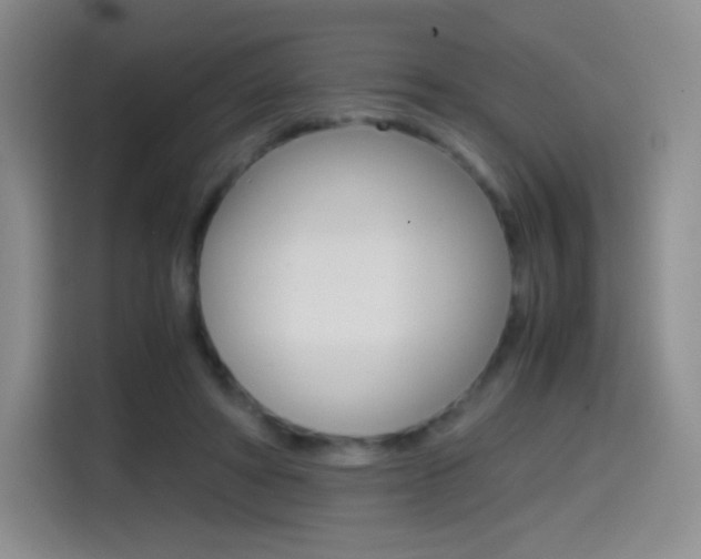 X0000114600402200910191058