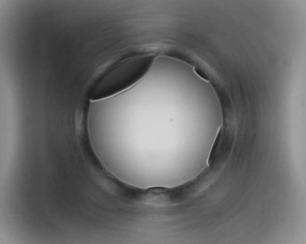 X0000114600403200910191058