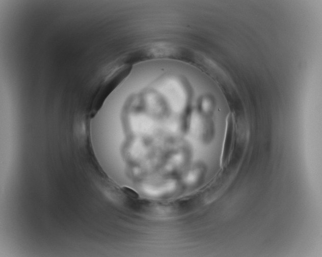 X0000114600405200910191058