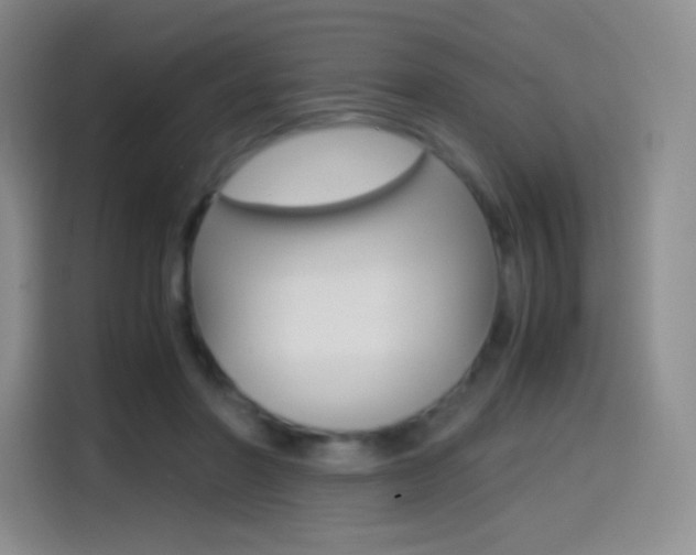 X0000114600406200910191058