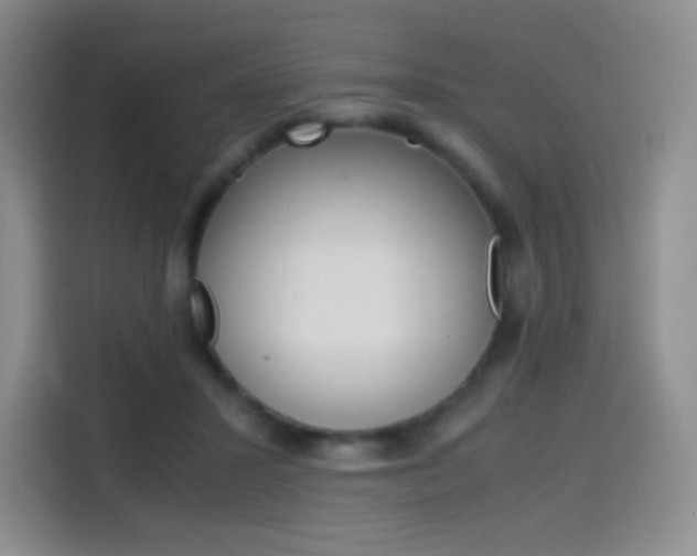 X0000114600407200910191058