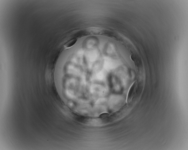 X0000114600409200910191058