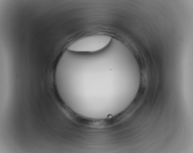 X0000114600410200910191058