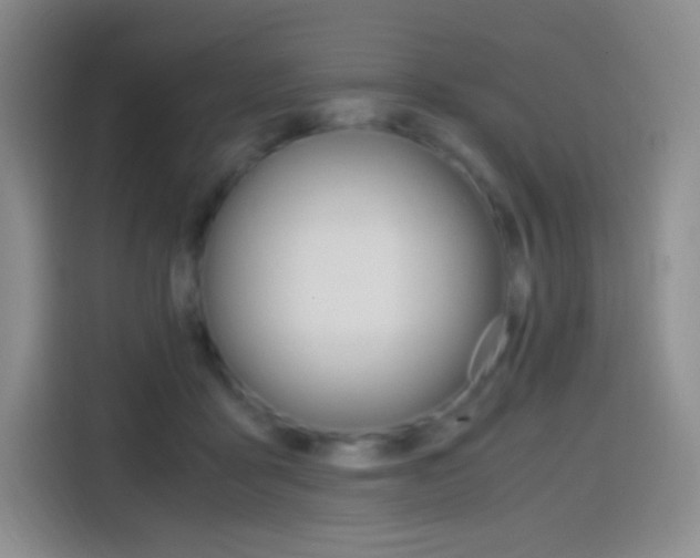 X0000114600411200910191058