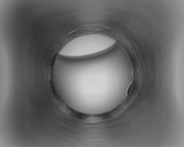 X0000114600413200910191058