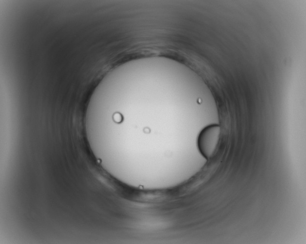 X0000114600414200910191058