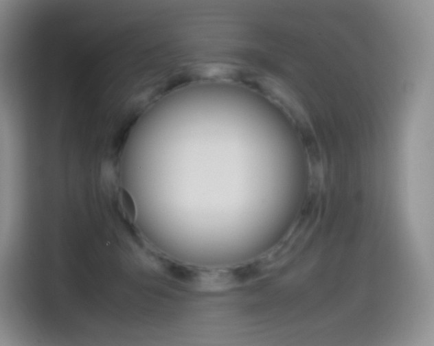 X0000114600415200910191058