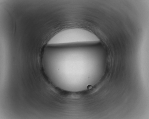 X0000114600416200910191058