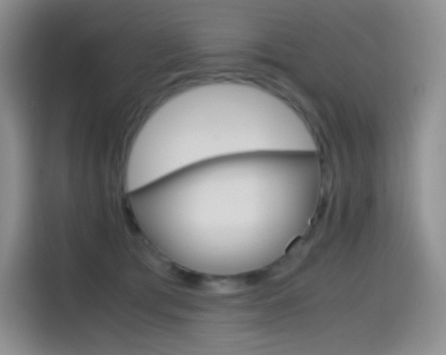 X0000114600417200910191058