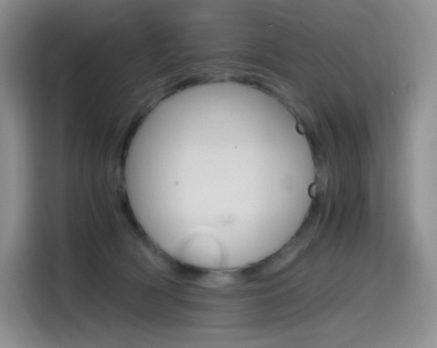 X0000114600418200910191058