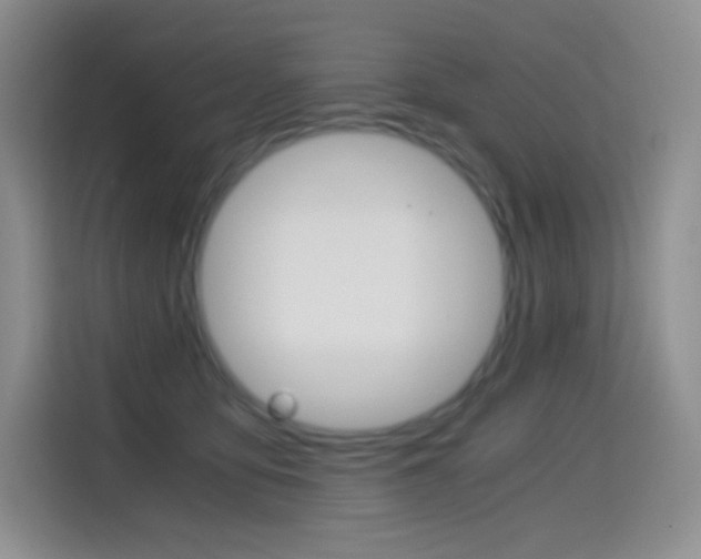 X0000114600419200910191058