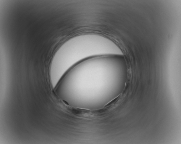 X0000114600423200910191058