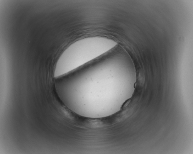 X0000114600424200910191058