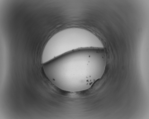 X0000114600425200910191058