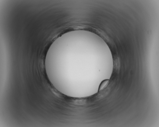 X0000114600426200910191058