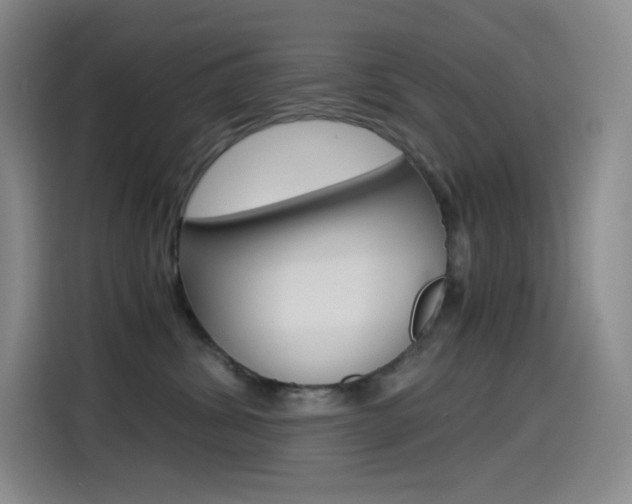 X0000114600428200910191058