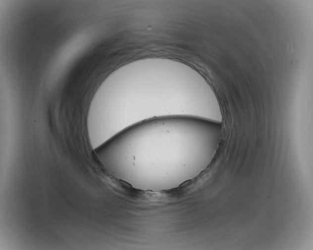 X0000114600429200910191058