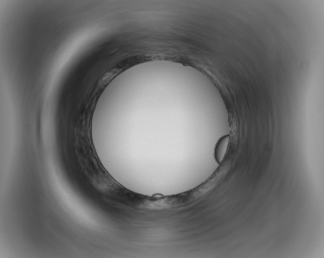 X0000114600430200910191058