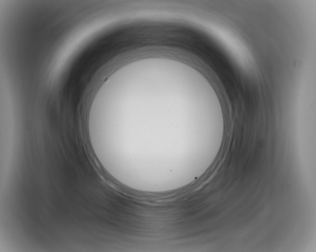 X0000114600431200910191058