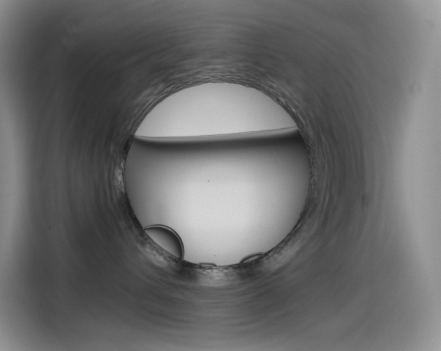 X0000114600432200910191058