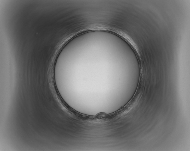 X0000114600433200910191057