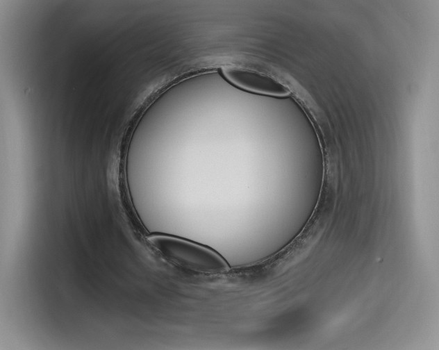 X0000114600434200910191057