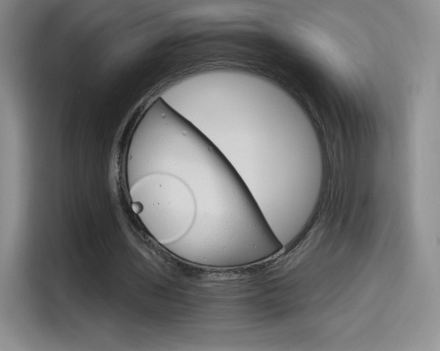 X0000114600435200910191057