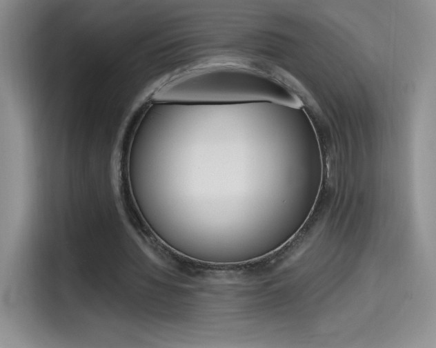 X0000114600436200910191057