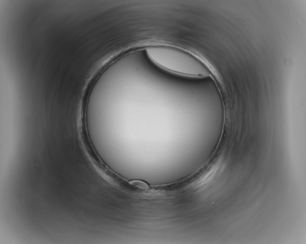 X0000114600437200910191057