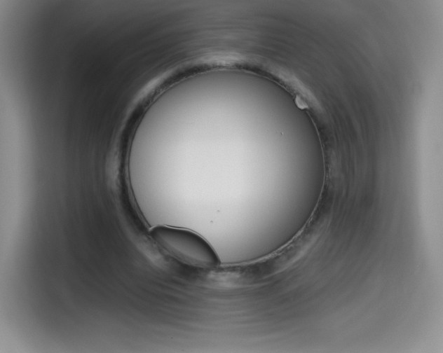 X0000114600440200910191057