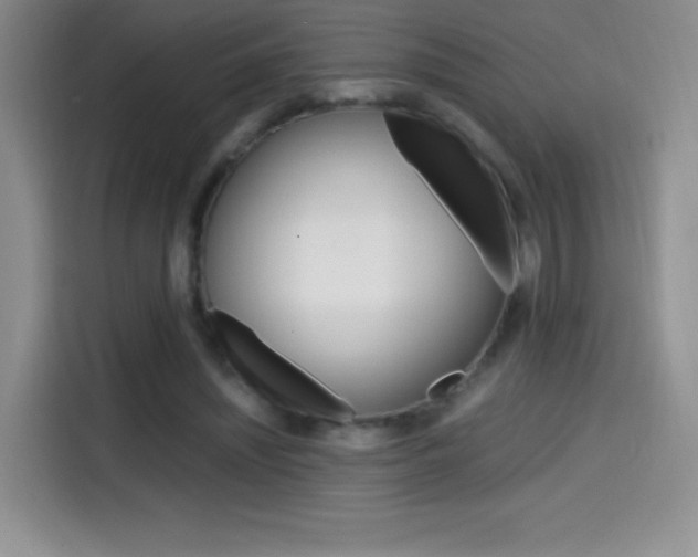 X0000114600444200910191057