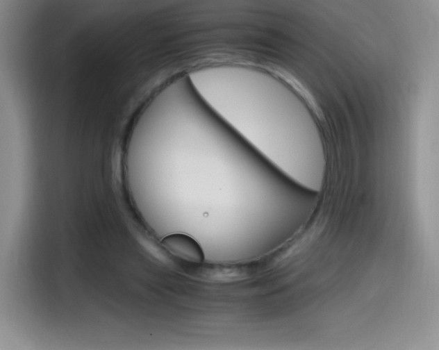 X0000114600445200910191057