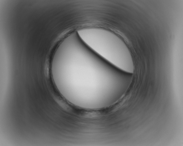 X0000114600446200910191057