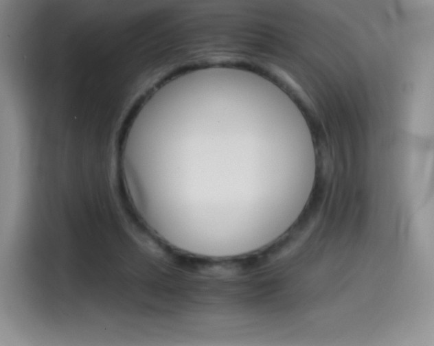 X0000114600447200910191057