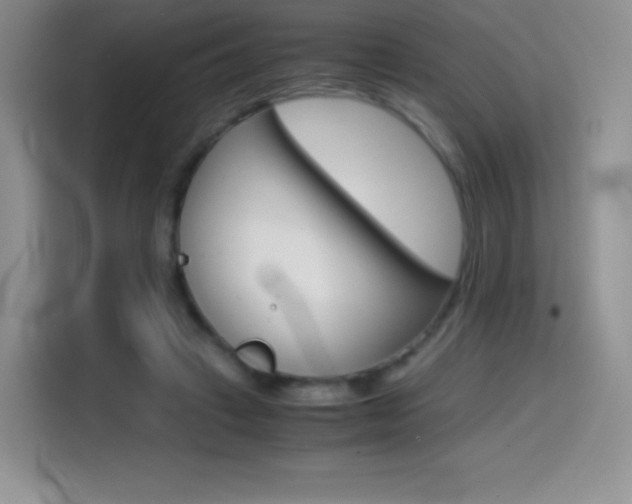 X0000114600449200910191057