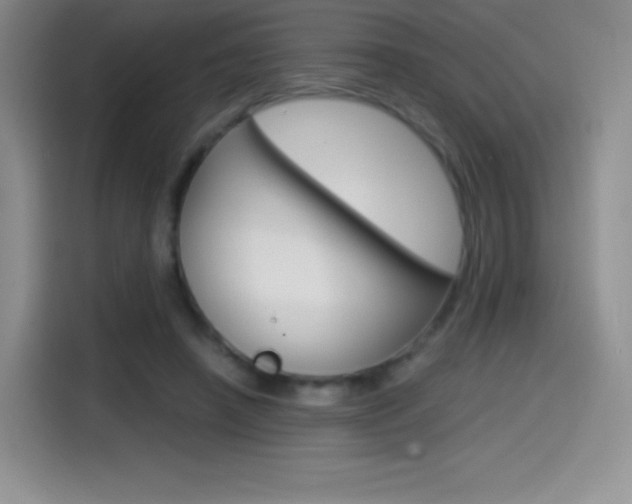 X0000114600450200910191057