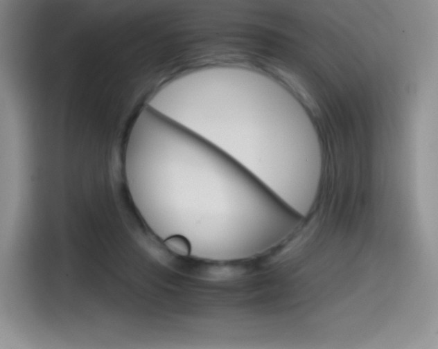 X0000114600453200910191057